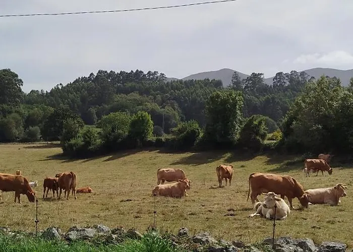 Apartment Rurales Inguanzo Villanueva de Pria